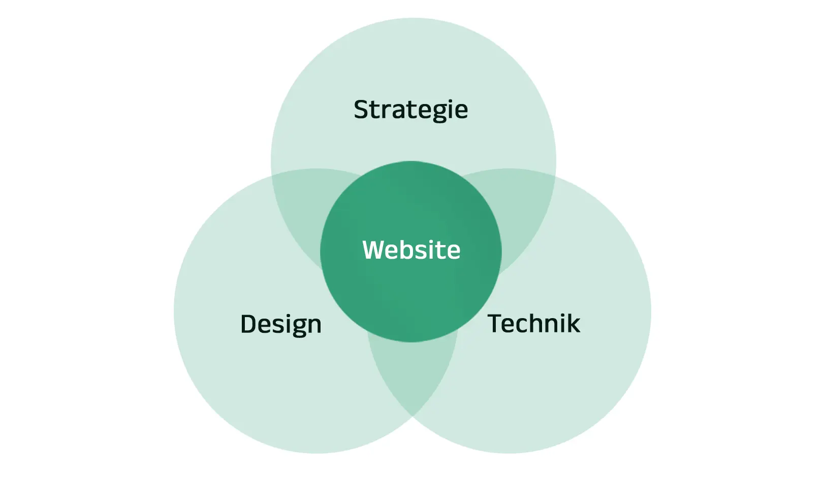 Professionelle Website erstellen: Infografik